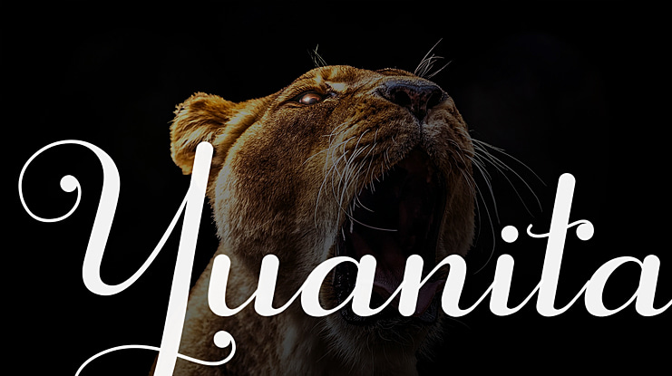 Yuanita Font