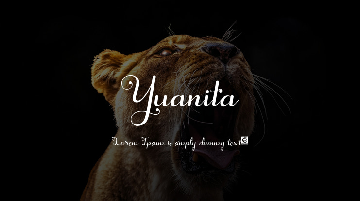 Yuanita Font