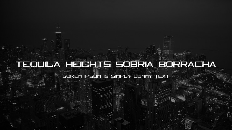 Tequila Heights Sobria Borracha Font