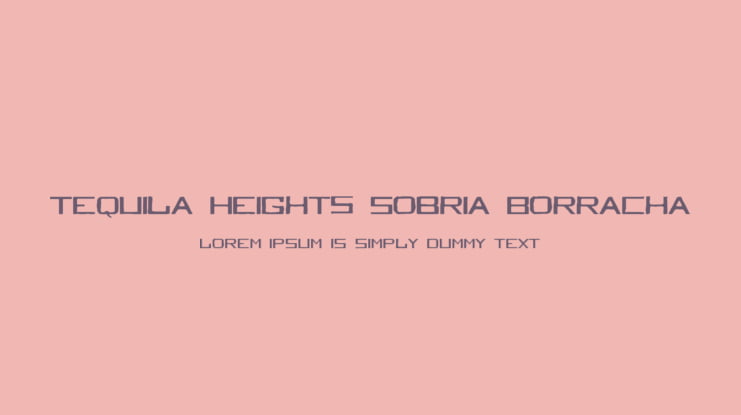 Tequila Heights Sobria Borracha Font