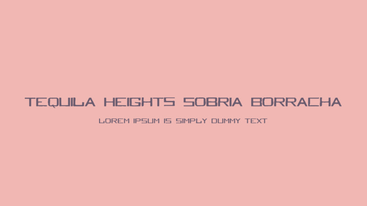 Tequila Heights Sobria Borracha Font