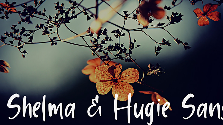 Shelma & Hugie Sans Font Family