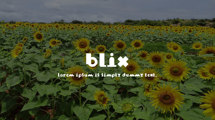 Blix Font