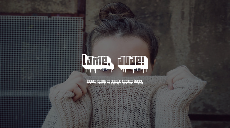 Lame, Dude! Font