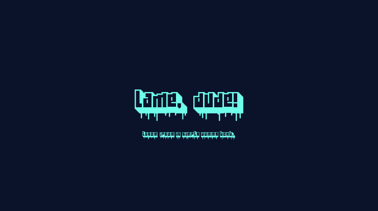 Lame, Dude! Font