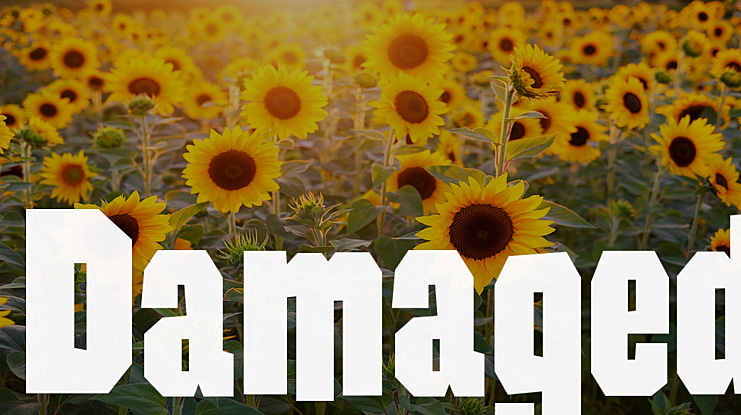 Damaged Font