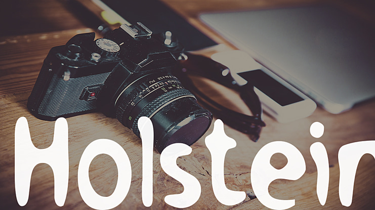 Holstein Font Family