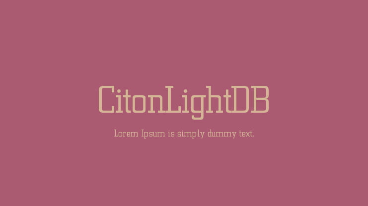 CitonLightDB Font