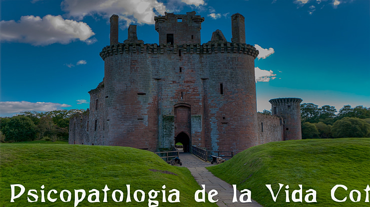 Psicopatologia de la Vida Cotidiana Font