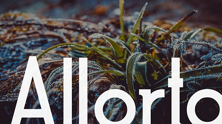 Allorta Font Family