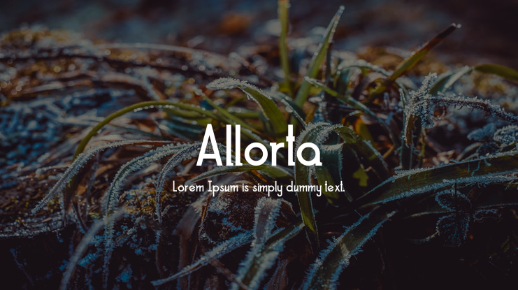 Allorta Font Family