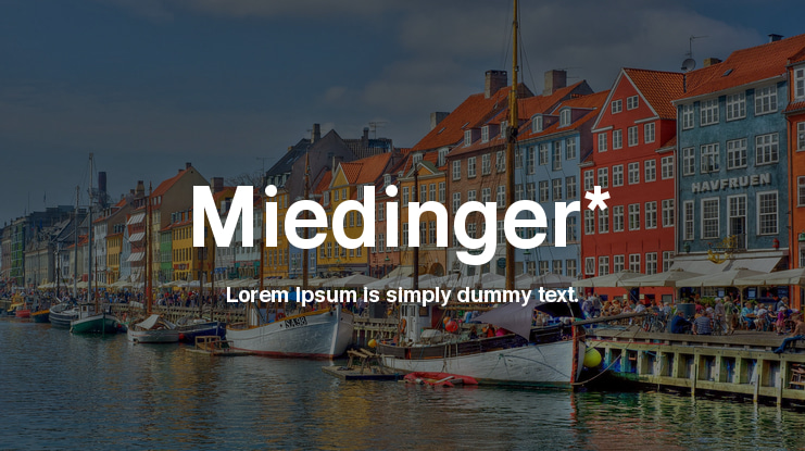 Miedinger* Font Family