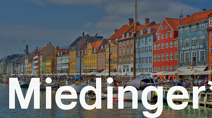 Miedinger* Font Family