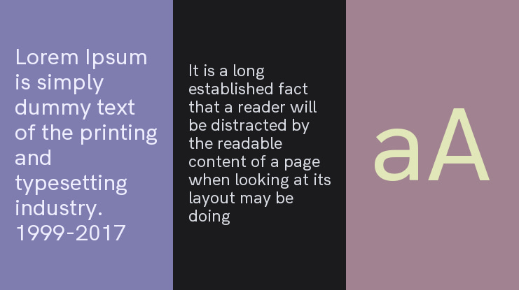 Acari Sans Neue Font Family