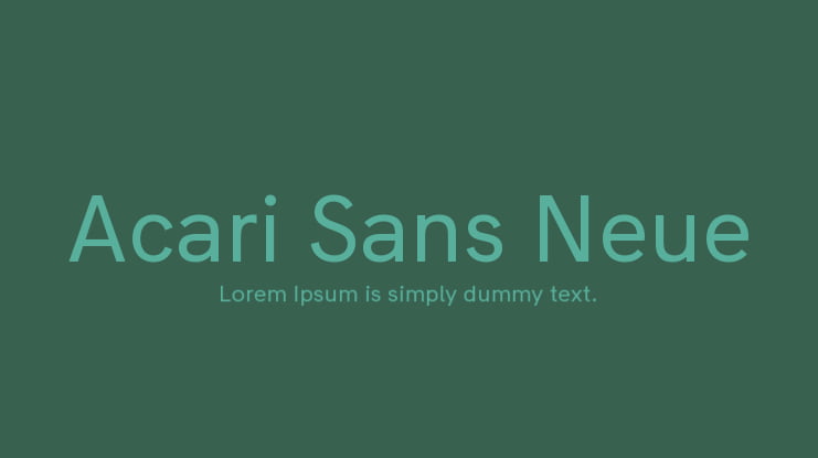 Acari Sans Neue Font Family
