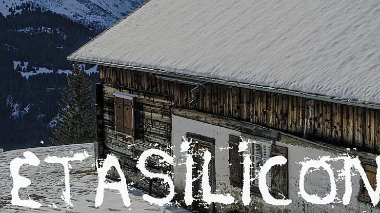etasilicon Font
