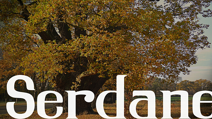 Serdane Font