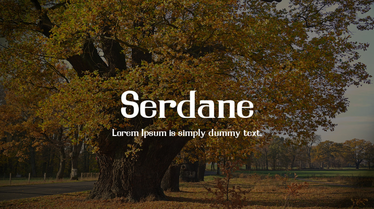 Serdane Font