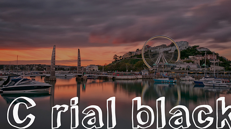 C rial black Font Family