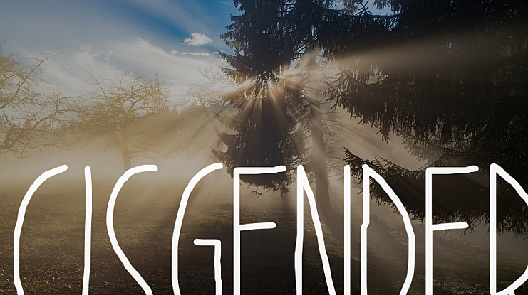 Cisgender Font