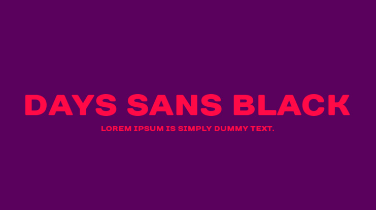 Days Sans Black Font