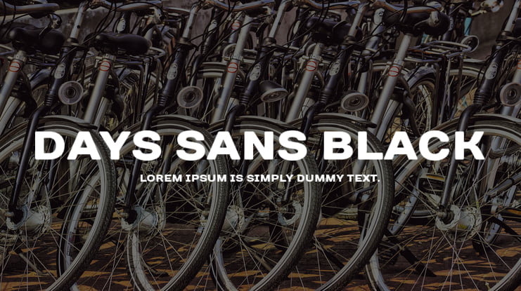 Days Sans Black Font