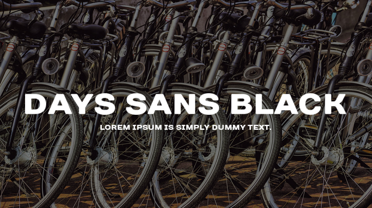Days Sans Black Font