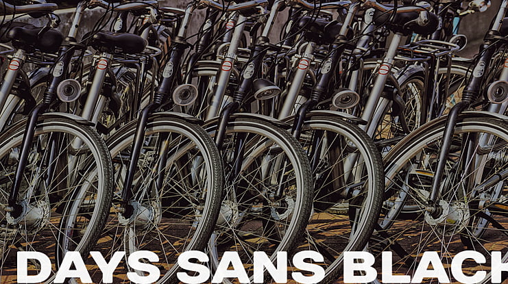 Days Sans Black Font