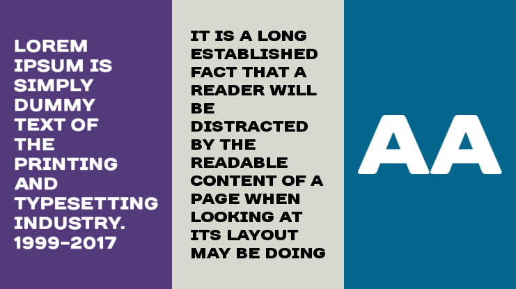 Days Sans Black Font