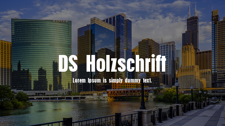 DS Holzschrift Font