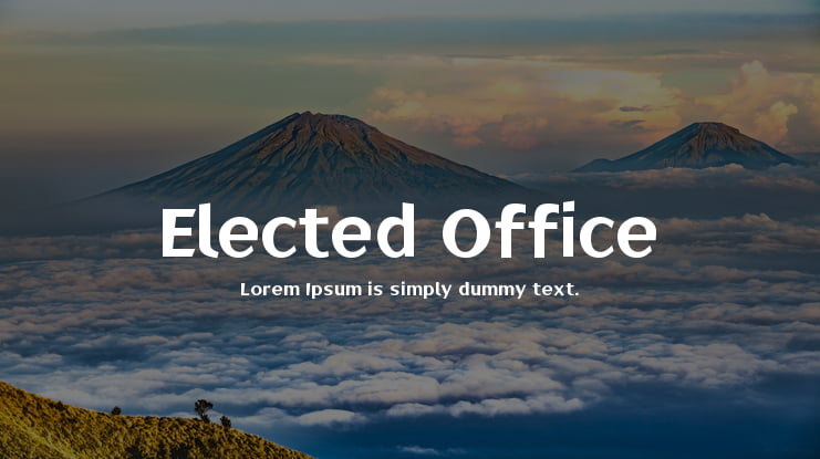 Elected Office Font Family