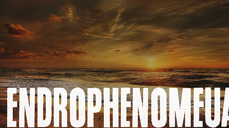 Endrophenomeua Font