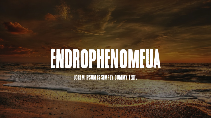 Endrophenomeua Font