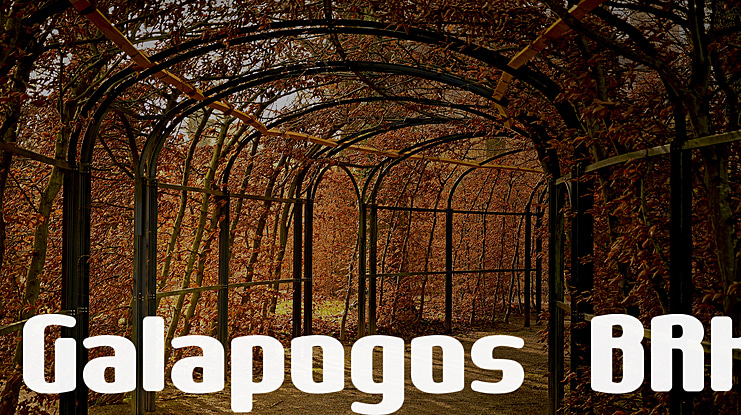 Galapogos BRK Font