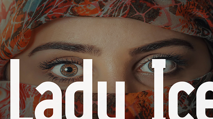Lady Ice - 3D Font Family