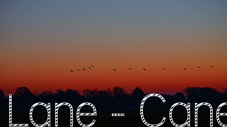 Lane - Cane Font Family