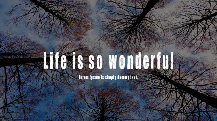 Life is so wonderful Font