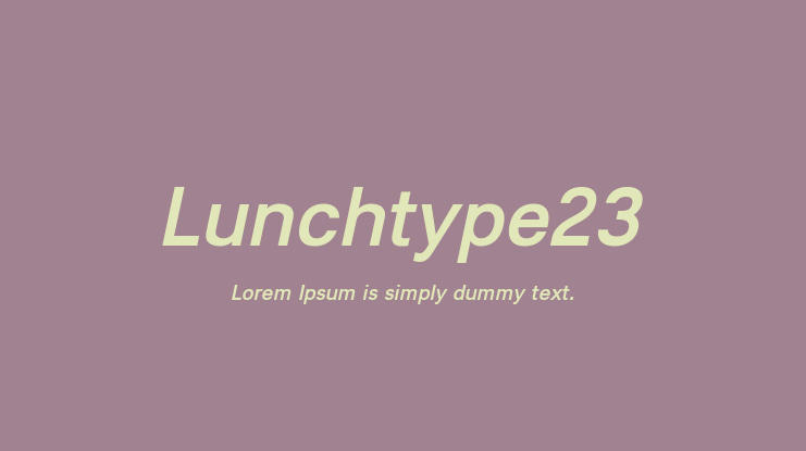 Lunchtype23 Font Family