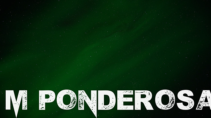 M Ponderosa Font