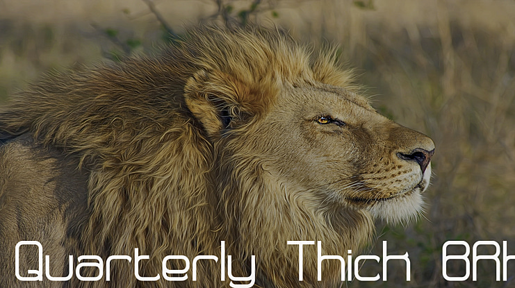 Quarterly  BRK Font Family