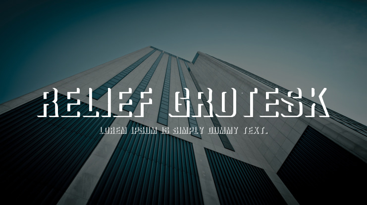 Relief Grotesk Font Family