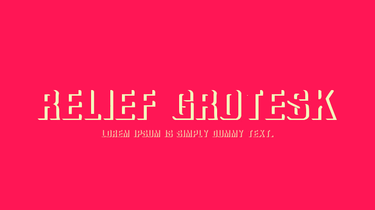 Relief Grotesk Font Family