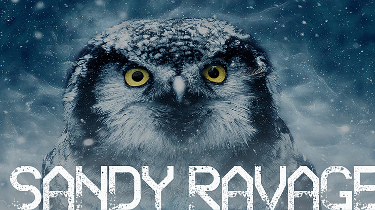 Sandy Ravage Font