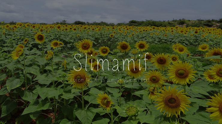 Slimamif Font