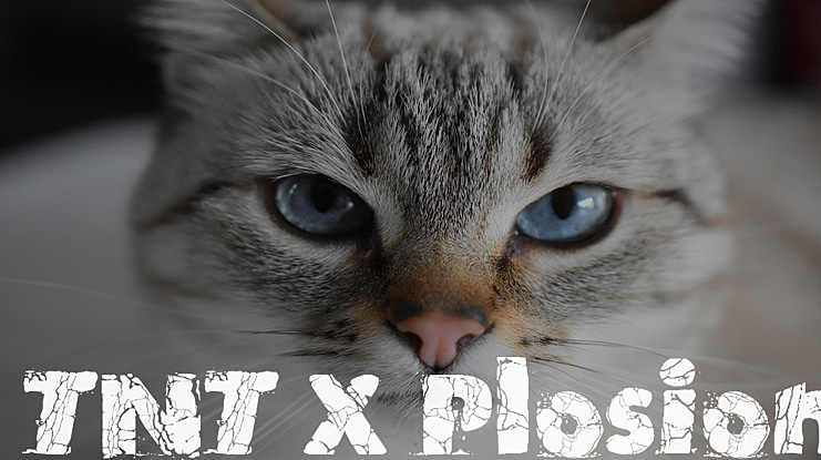 TNT X Plosion Font