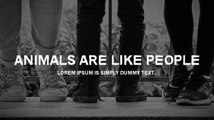 Animals are like people Font