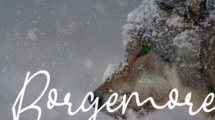 Borgemore Font