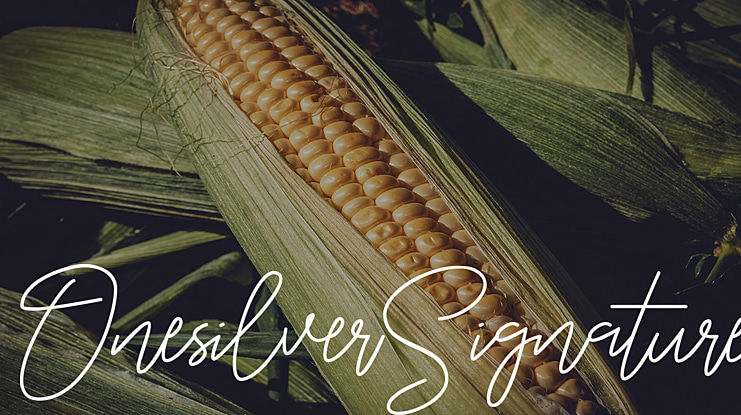 OnesilverSignature Font