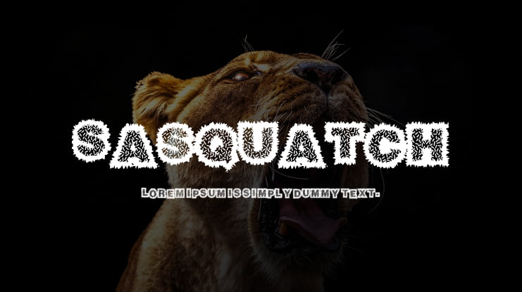 Sasquatch Font