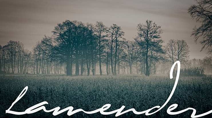 Lamender Font